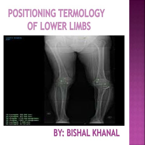 Positioning terminology of lower limbs