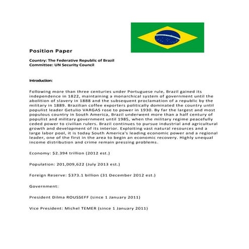 Position paper brazil intro