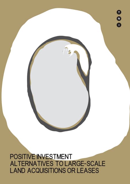 Positive Investment Alternatives 