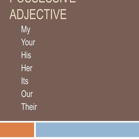 Possessive adjective - game