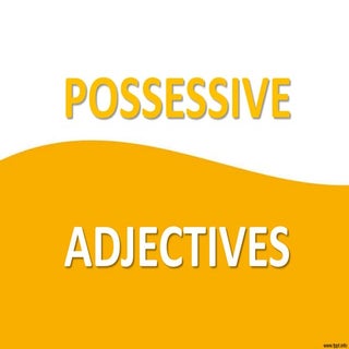 Possessive adjectives