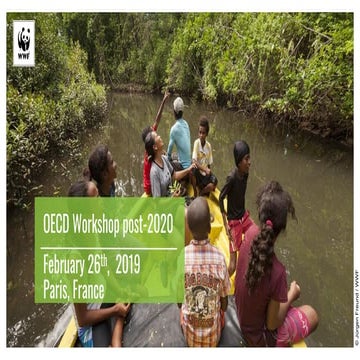 The Post-2020 Biodidversity Framework by Günther Mittlacher, WWF