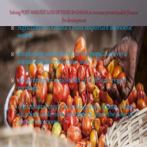 Post Harvest Losses of food in Ghana - Mini Project for Fin4Dev - Kelvin Will...