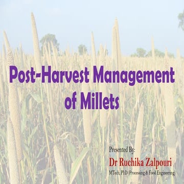 Post-harvest management of millet grains