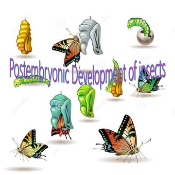 Post embryonic development of insects and metamorphosis 