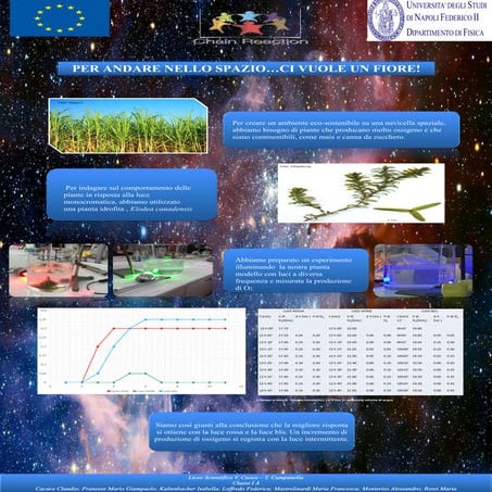 PER  ANDARE NELLO SPAZIO ...CI VUOLE UN FIORE!