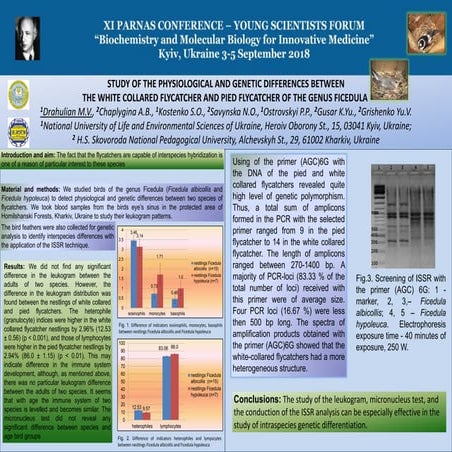 STUDY OF THE PHYSIOLOGICAL AND GENETIC DIFFERENCES BETWEEN  THE WHITE COLLARE...