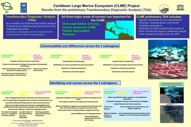 Poster Presentation: Caribbean Large Marine Ecosystem (CLME) Project [IWC4 Innovation Marketplace]
