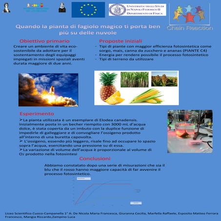 QUANDO LA PIANTA DI FAGIOLO MAGICO TI PORTA BEN PIÙ SU DELLE NUVOLE