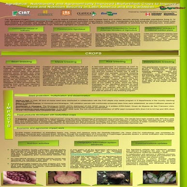 Poster48: Agrosalud: Nutritionally and agronomically improved (Biofortified) ...