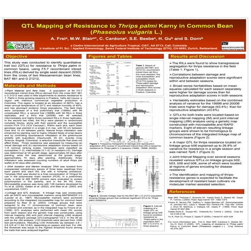 Poster64: QTL mapping of resitance to Thips palmi Karny in common bean (Phase...