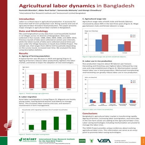 Agricultural labor dynamics in Bangladesh