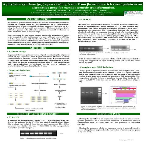 Poster71: A phytoene synthase (psy) open reading frame form B-carotene-rich s...