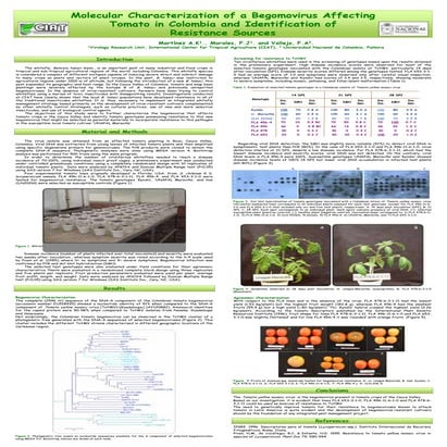 Poster82: Molecular characterization of a begomovirus affecting tomato ...