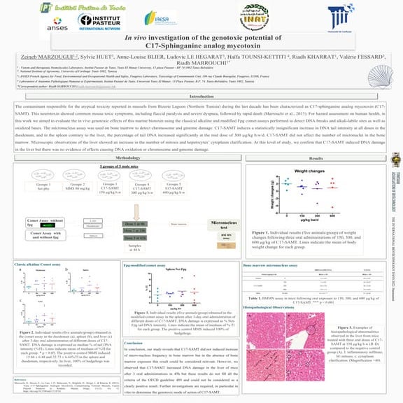 In vivo investigation of the genotoxic potential of C17-Sphinganine analog my...