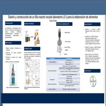Poster bayer | PDF