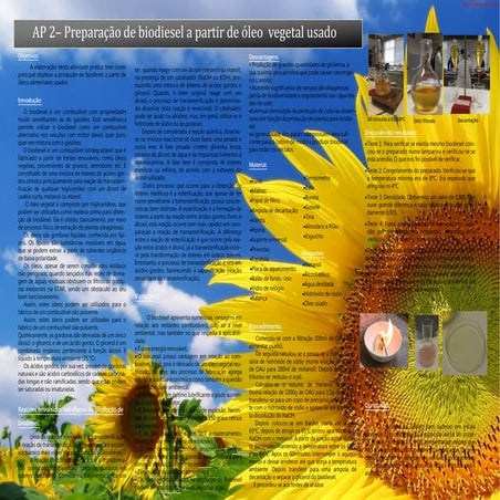 Cartaz biodiesel | PDF
