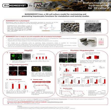 BIOMIMESYS® Liver, a 3D cell culture model for maintaining and ...