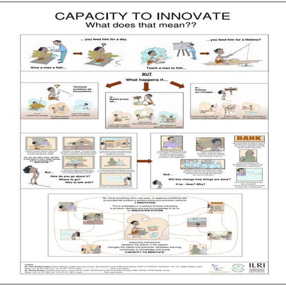 Capacity to innovate: what does that mean?? 