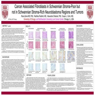 Zeine et al. Poster 2007 Cancer Associated Fibroblasts in Neuroblastoma