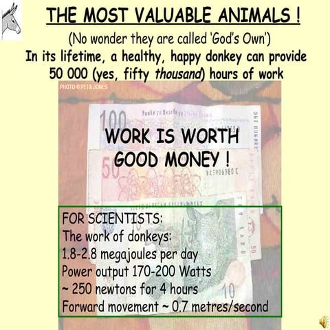 Donkeys for development | PPT