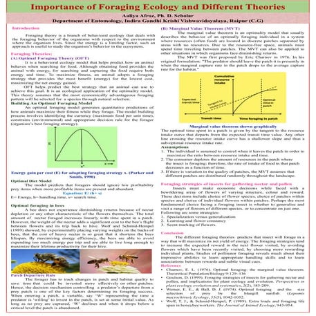 Importance of ecology and different foraging theories
