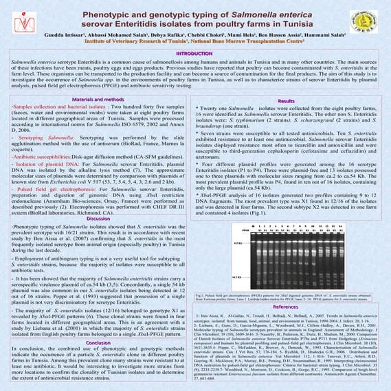 Phenotypic and genotypic typing of Salmonella enterica serovar Enteritidis is...