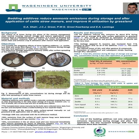 Poster For N Workshop (2012) Abbas