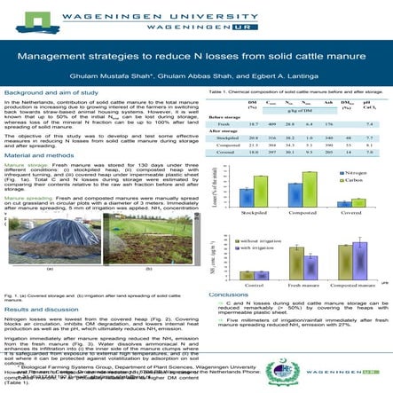 Poster For Ramiran (2010)