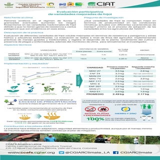 Poster: Evaluación participativa de variedades mejoradas de fríjol