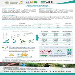Participatory evaluation of improved bean varieties