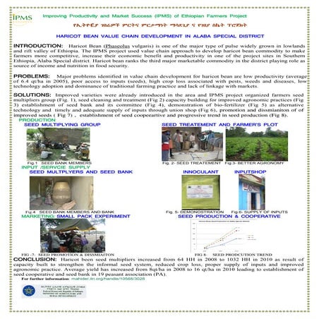 Haricot bean value chain development in Alaba Special District 