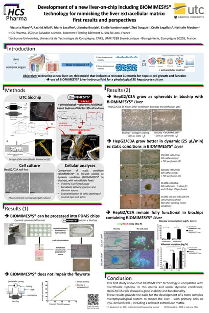 BIOMIMESYS® Liver, a 3D cell culture model for maintaining and ...