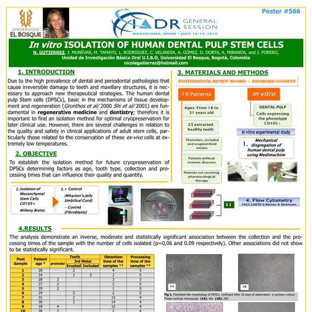 In vitro ISOLATION OF HUMAN DENTAL PULP STEM CELLS | PDF