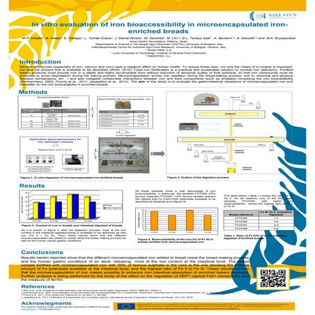 Digestor Dinámico In vitro 