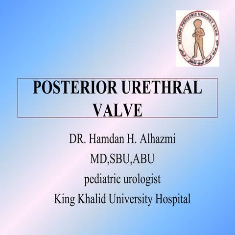 POSTERIOP URETHERAL (1).ppt