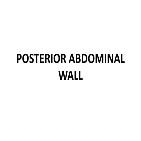 Posterior abdominal wall