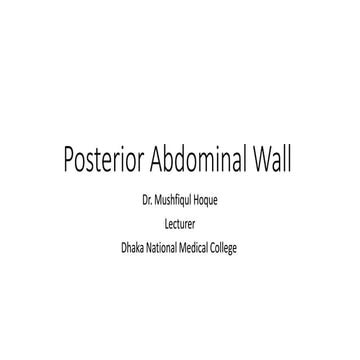 Posterior abdominal wall and hernia