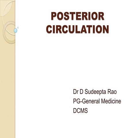 Posterior cerebral circulation - Gross Anatomy