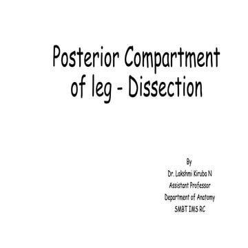 Posterior compartment of leg DH.pptx dissection of leg | PPTX