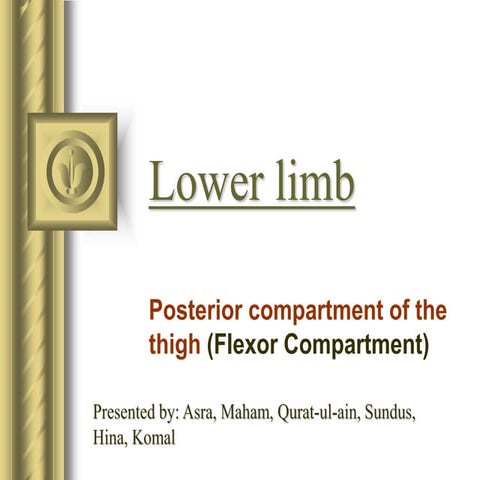 Posterior compartment of the thigh.ppt