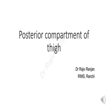 Posterior compartment of thigh