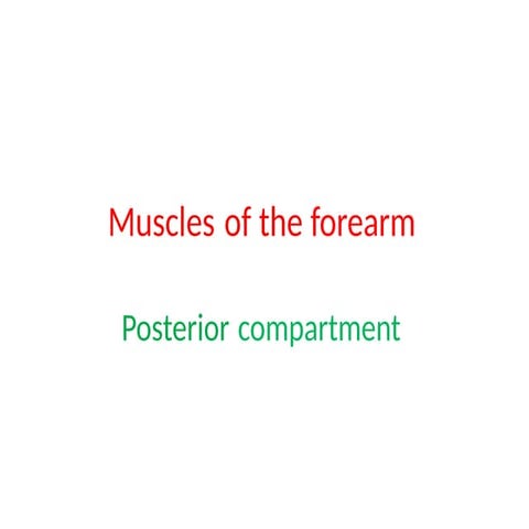 posterior forearm muscle ppt_120106.pptx