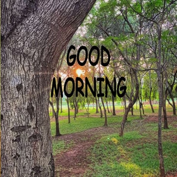 POSTERIOR PALATAL SEAL. importance ,funtion,parts,anatomic and physiological