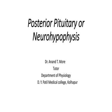 Posterior pituitary