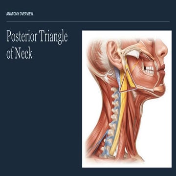 Applied Anatomy of Posterior Triangle of Neck.pptx