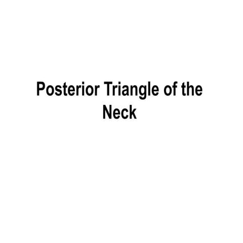 posteriortriangleoftheneck-pdf