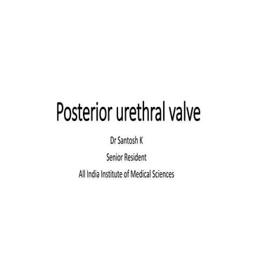 Posterior urethral valve