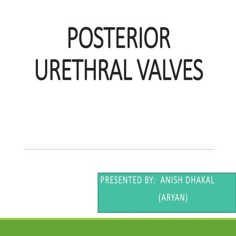 Posterior Urethral Valve