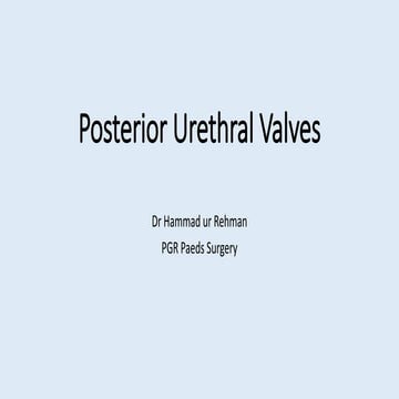 Posterior urethral valves